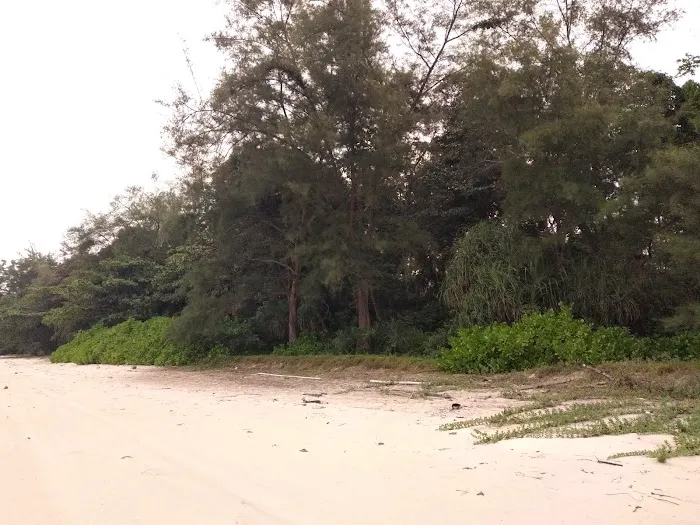 Pantai Kembali Picture 3