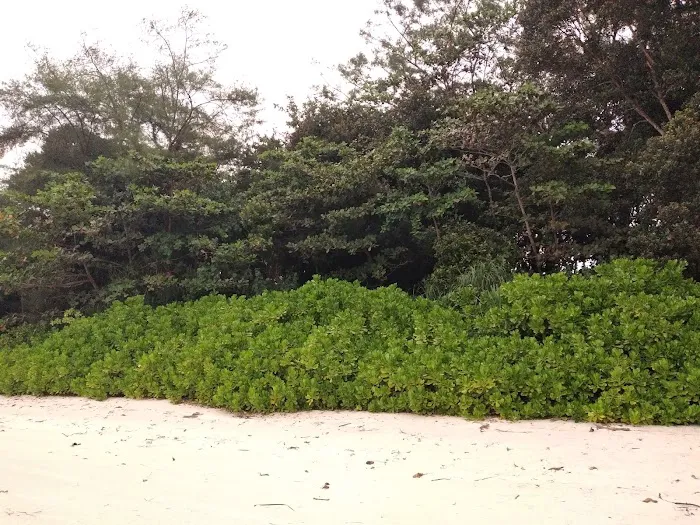 Pantai Kembali Picture 1