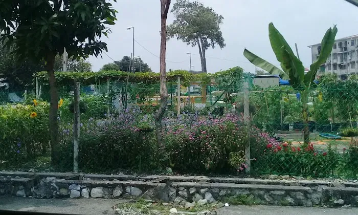 Kebun Komuniti Flat Ikan Picture 2