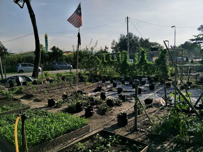 Kebun Komuniti Flat Ikan Picture 1