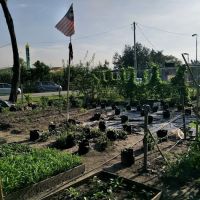 Kebun Komuniti Flat Ikan ico