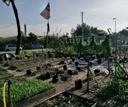 Kebun Komuniti Flat Ikan