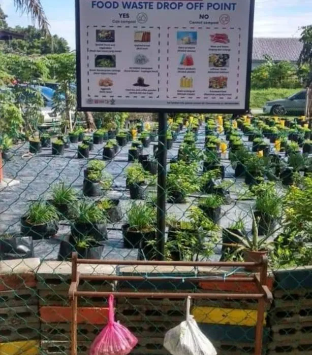 Kebun Komuniti Flat Ikan Picture 5