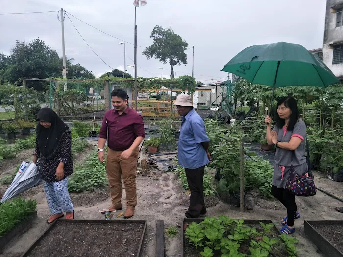 Kebun Komuniti Flat Ikan Picture 7