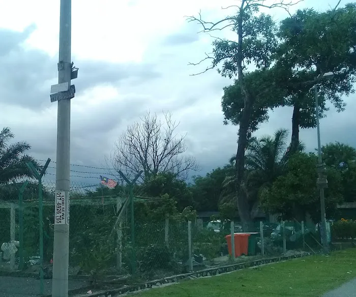 Kebun Komuniti Flat Ikan Picture 9