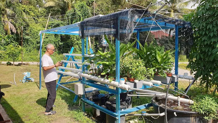 Aquaponic Picture 1