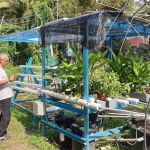 Aquaponic