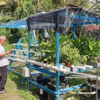 Aquaponic ico