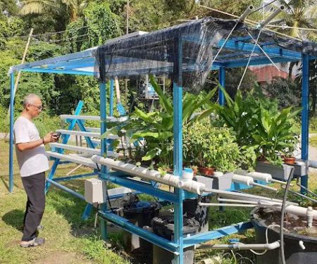 Aquaponic
