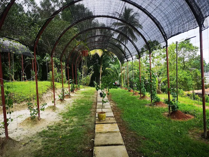 Garden Cafe Picture 5
