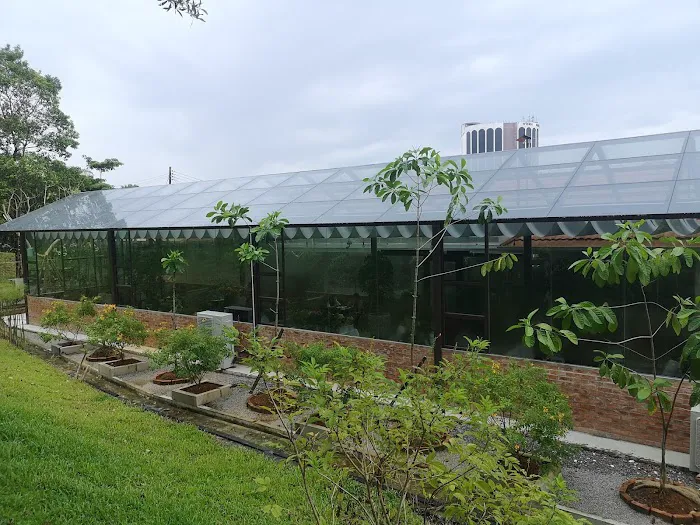 Garden Cafe Picture 10