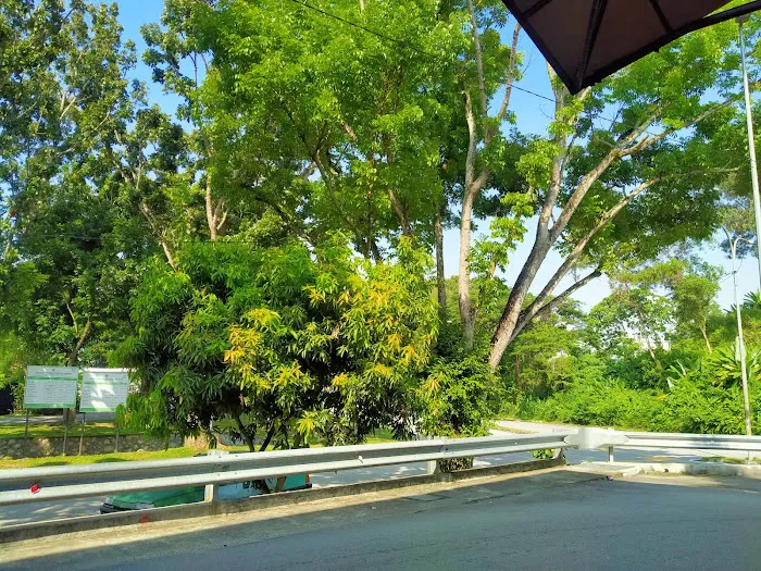 Restoran pokok kurma bistro Picture 10