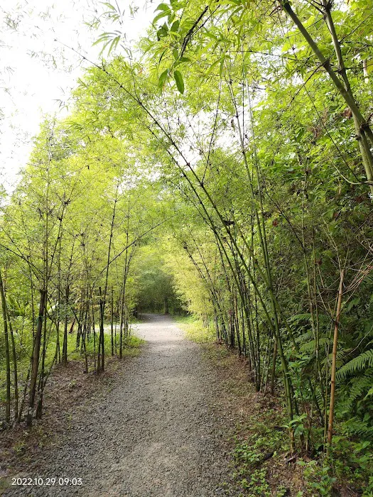Taman Tugu Hike Trails Picture 3