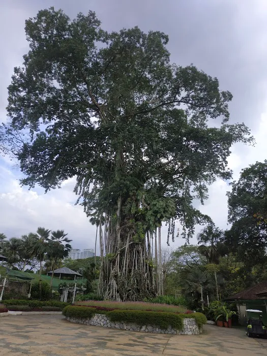 Lake Gardens Kuala Lumpur (Botanical Gardens) Picture 2