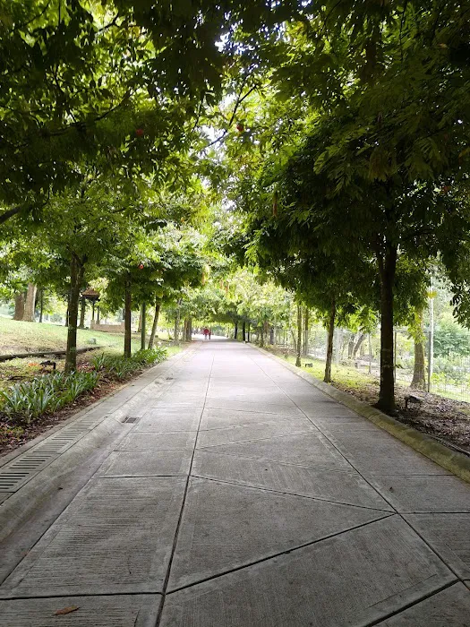 Lake Gardens Kuala Lumpur (Botanical Gardens) Picture 9