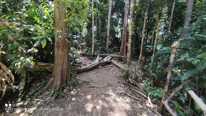 Puncak 701 Picture 2