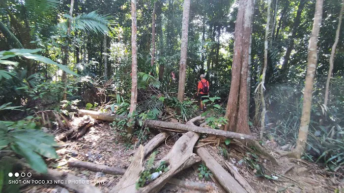 Puncak 701 Picture 7