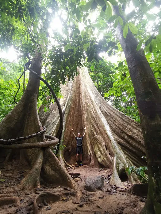 Puncak Gunung Datuk Picture 7