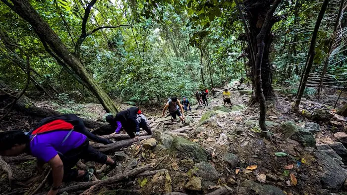Puncak Gunung Datuk Picture 5