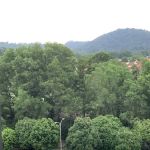 Forest Reserve Lestari Putra