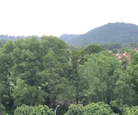 Forest Reserve Lestari Putra