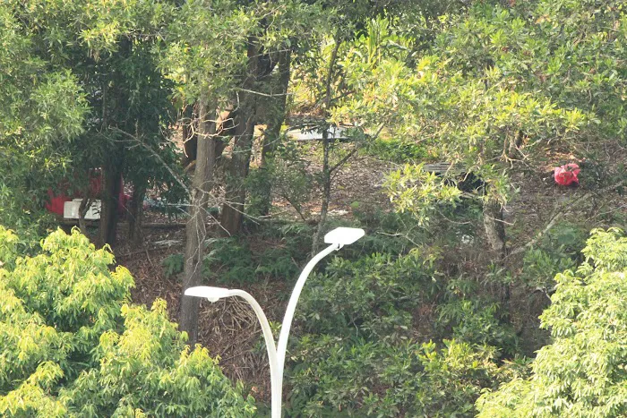 Forest Reserve Lestari Putra Picture 2