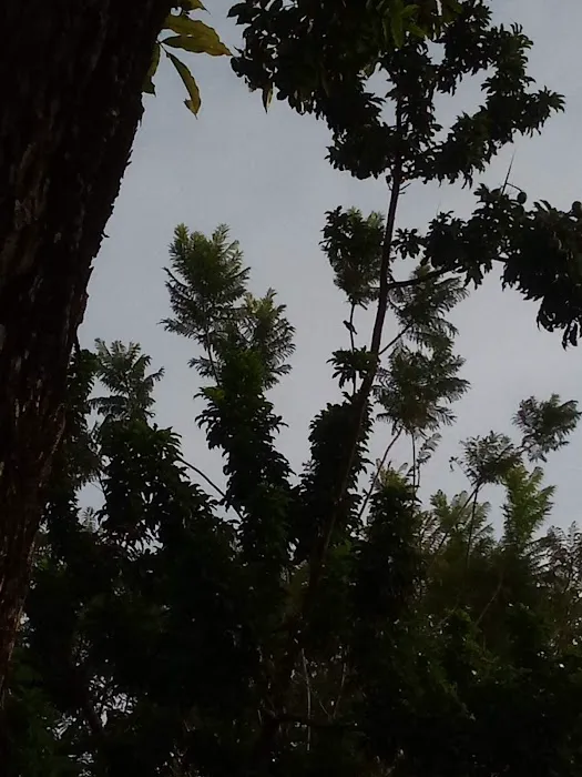 Padang Cergas, Taman Universiti Indah Picture 5