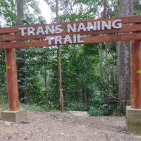 Trans Naning ico