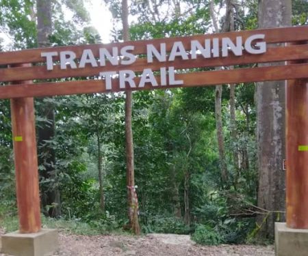Trans Naning