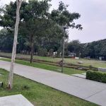 Canary Garden Central Park
