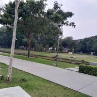 Canary Garden Central Park ico