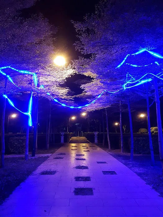 English Park (Precinct 3) Picture 7
