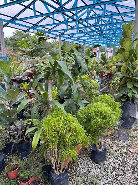My Green Nursery Picture 5