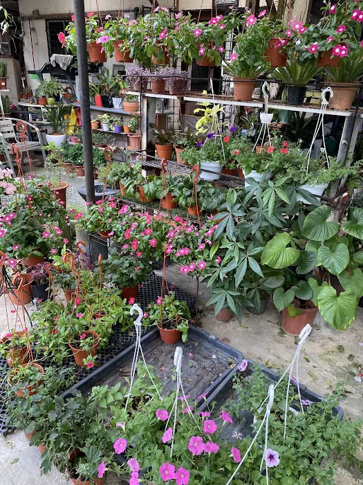 Nursery Landscape Picture 1