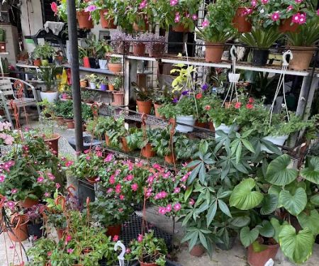 Nursery Landscape