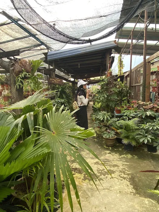 Nursery Landscape Picture 2