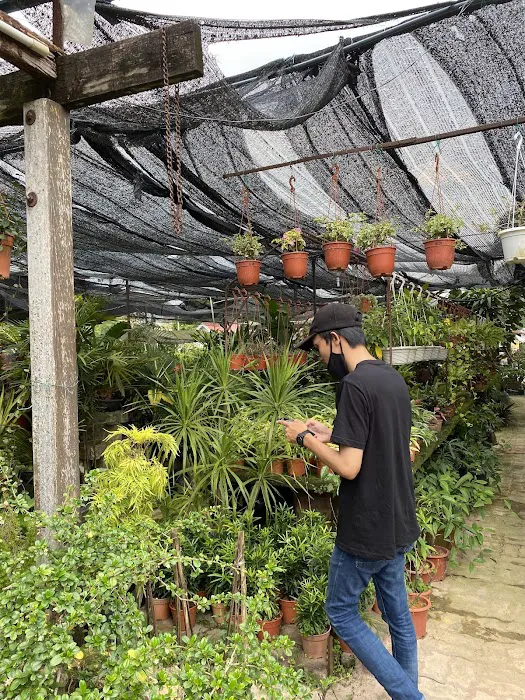 Nursery Landscape Picture 10