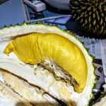 My Durian Shop