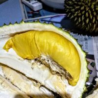 My Durian Shop ico