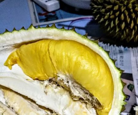 My Durian Shop