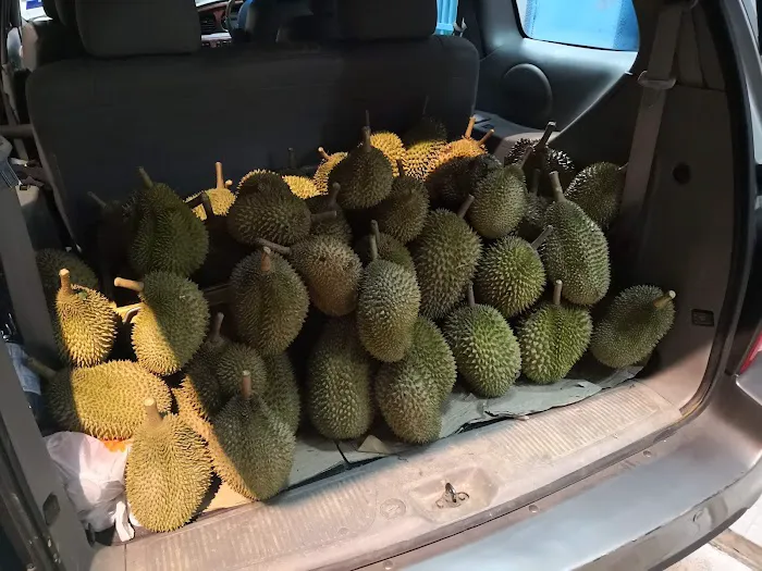 My Durian Shop Picture 8
