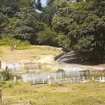 Surau Al Hidayah Solok Kasir Kg. Ulu Inas