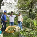 Kebun Kebun Kerinchi