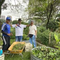 Kebun Kebun Kerinchi ico
