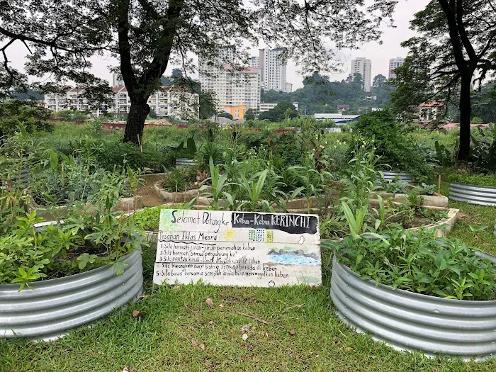 Kebun Kebun Kerinchi Picture 6