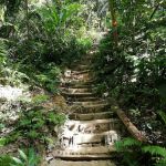 Bukit Gasing Via Hillpark Trailhead