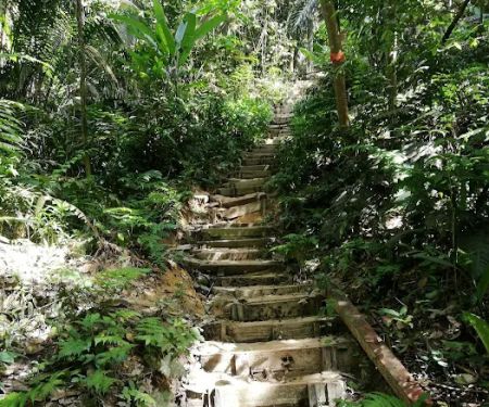 Bukit Gasing Via Hillpark Trailhead