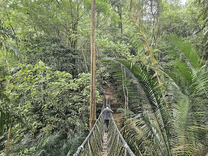 Bukit Gasing Via Hillpark Trailhead Picture 2
