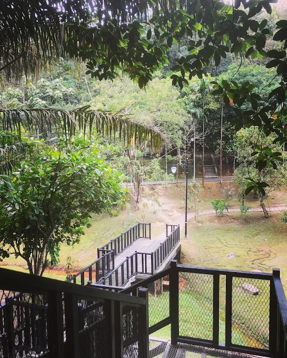 Bukit Gasing Via Hillpark Trailhead Picture 5
