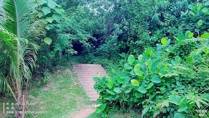 Bukit Gasing Via Hillpark Trailhead Picture 9